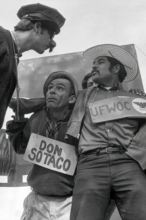 Poster to the movie "American Pachuco: The Legend of Luis Valdez" #544117