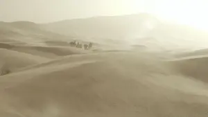 Backdrop to the movie "Queen of the Desert" #428466