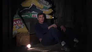 Backdrop to the movie "Signs" #670284