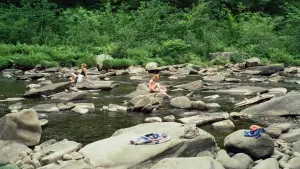 Backdrop to the movie "Janet Planet" #684223