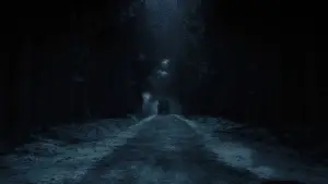 Backdrop to the movie "Nosferatu" #553013