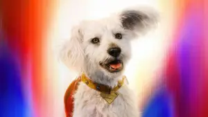 Backdrop to the movie "Superman: Legacy" #513755