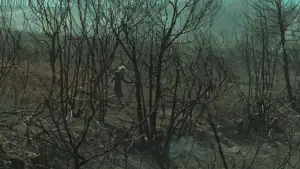 Backdrop to the movie "Fire Will Come" #796785