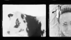 Backdrop to the movie "Koroviy Val" #537196