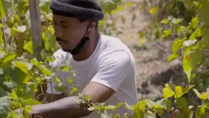 Backdrop to the movie "The Two Eighty Project" #791942