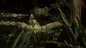 Backdrop to the movie "The Muppet Movie" #673408