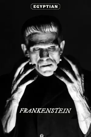 Poster to the movie "Frankenstein" #641113