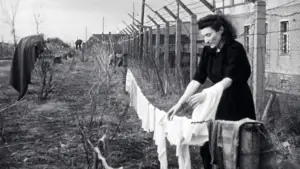 Backdrop to the movie "Les survivants, l