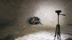 Backdrop to the movie "Annihilation" #618559