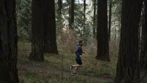 Backdrop to the movie "Cellar Door" #608720