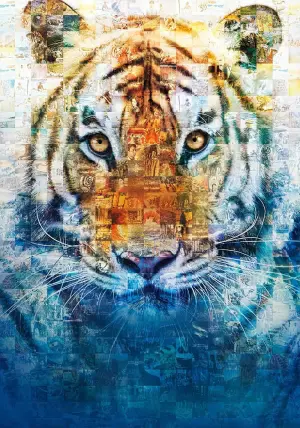 Poster to the movie "Life of Pi" #218543