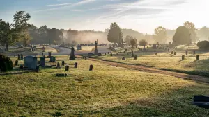 Backdrop to the movie "Raymond & Ray" #433797