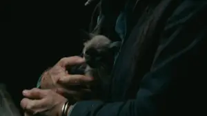 Backdrop to the movie "Nobody" #584730