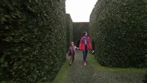 Backdrop to the movie "The Shining" #520135