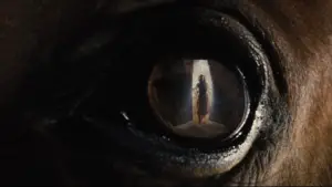 Backdrop to the movie "War Horse" #719024