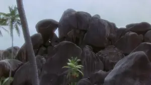 Backdrop to the movie "Castaway" #740610