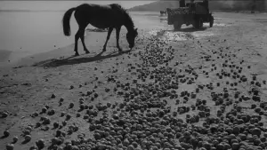 Backdrop to the movie "Ivan