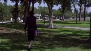 Backdrop to the movie "Secretary" #718483