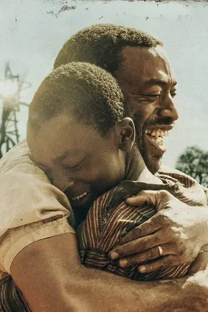 Poster to the movie "The Boy Who Harnessed the Wind" #752316