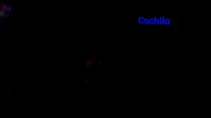 Backdrop to the movie "Cochilo" #369518