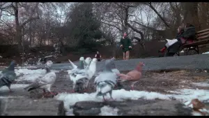 Backdrop to the movie "Home Alone 2: Lost in New York" #567247