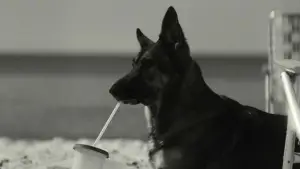 Backdrop to the movie "Kinds of Kindness" #591189