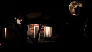 Backdrop to the movie "The Evil Dead" #800599