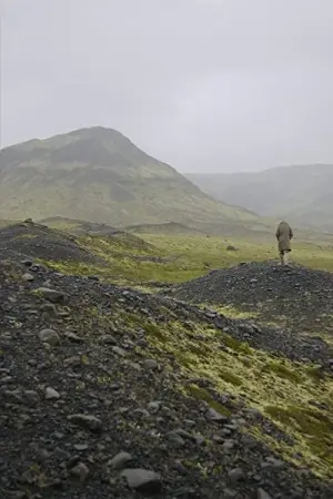 Movie poster "Babybird, Unborn"