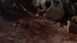 Backdrop to the movie "Indiana Jones and the Last Crusade" #601636