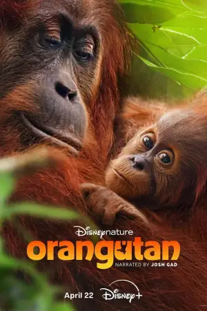 Poster to the movie "Orangutan" #798705