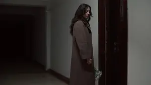 Backdrop to the movie "Don