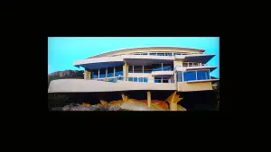 Backdrop to the movie "Flashbacks of a Fool" #475604