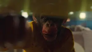 Backdrop to the movie "Nope" #637369