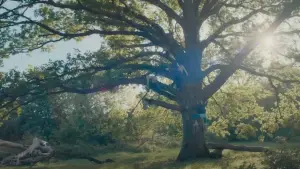 Backdrop to the movie "Bridget Jones: Mad About the Boy" #590822