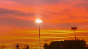 Backdrop to the movie "Film Studies Project" #449024