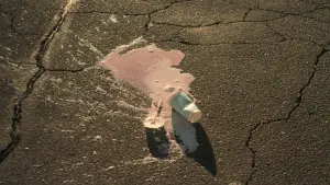 Backdrop to the movie "Palo Alto" #429302