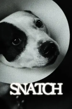 Poster to the movie "Snatch" #753732