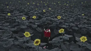 Backdrop to the movie "Strangers When We Meet" #686678