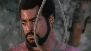 Backdrop to the movie "Swashbuckler" #718857