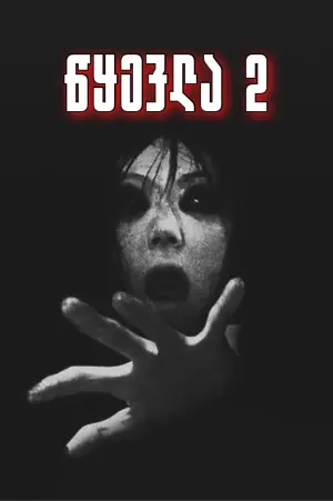 Poster to the movie "Ju-on: The Grudge 2" #355920