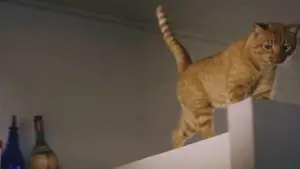 Backdrop to the movie "Breakfast at Tiffany