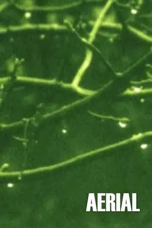 Poster to the movie "Aerial" #742748