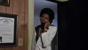 Backdrop to the movie "Sheba, Baby" #690477