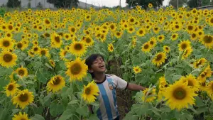 Backdrop to the movie "Parandhu Po" #784990