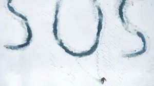 Backdrop to the movie "Arctic" #364806