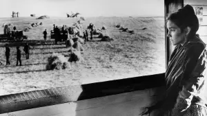 Backdrop to the movie "Days of Heaven" #716381