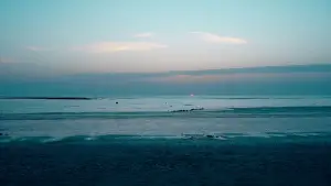 Backdrop to the movie "Ce qui suffit" #781944