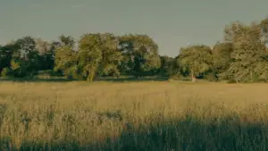 Backdrop to the movie "mother!" #627110