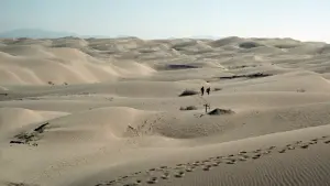 Backdrop to the movie "The Flight of the Phoenix" #397158