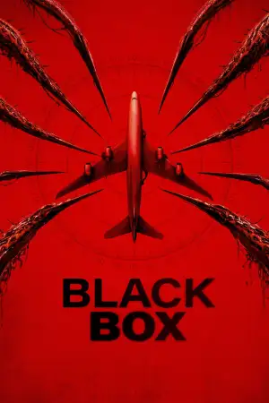Black Box (Flight 298)